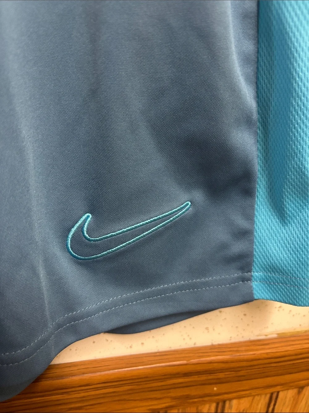 Nike Men's Two-Tone Blue Athletic Shorts